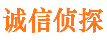 阿瓦提市侦探公司